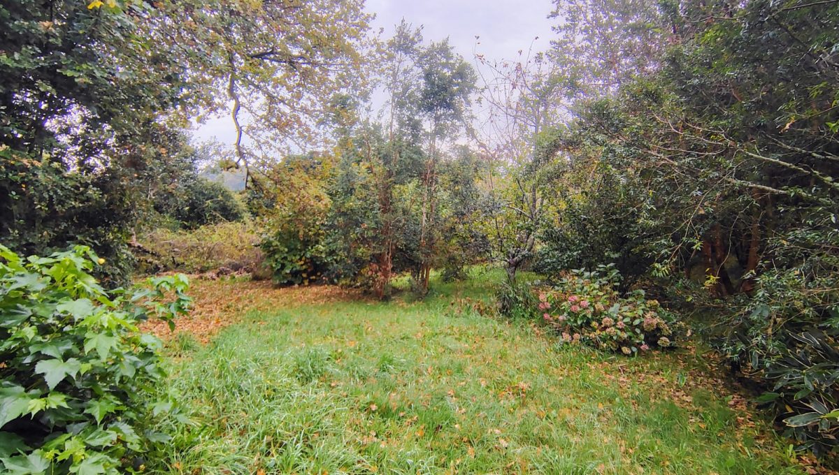 3ec49c54-bce8-4aee-b04d-676278838d4e