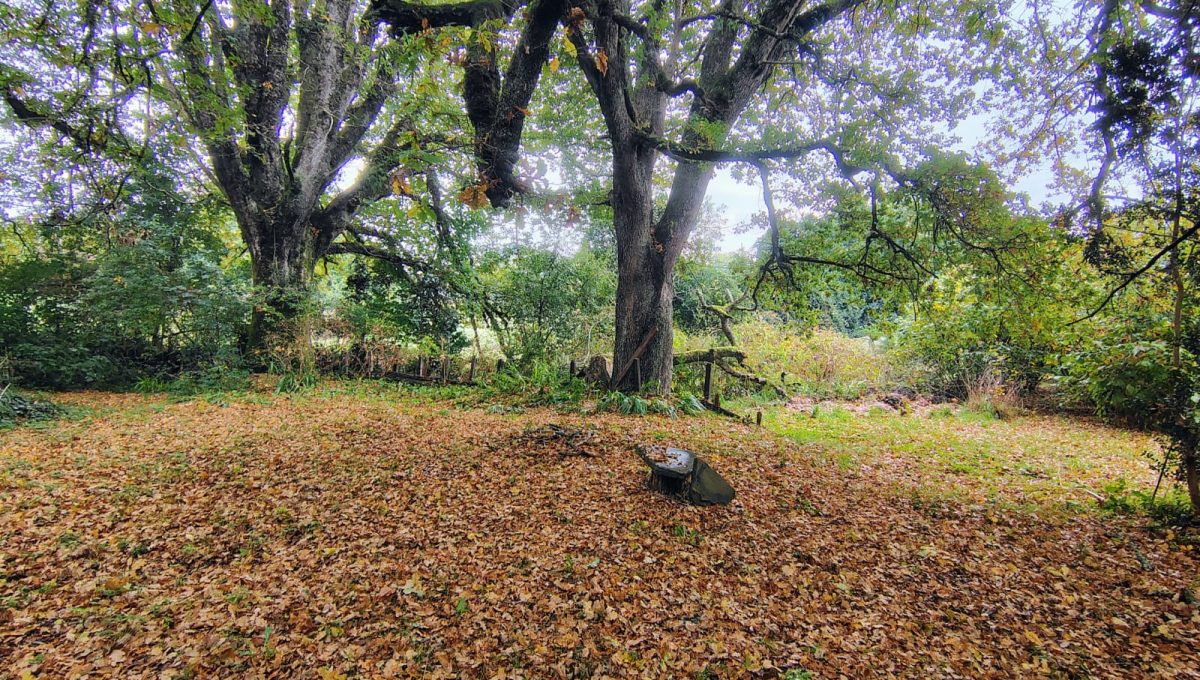 6d2c5569-57b8-4af7-b186-bdd0ecb7cfde