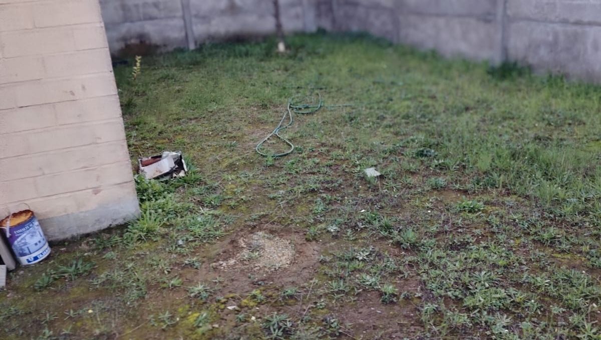 6eb9b73f-9ff6-4793-a87a-545aa6cf84ea