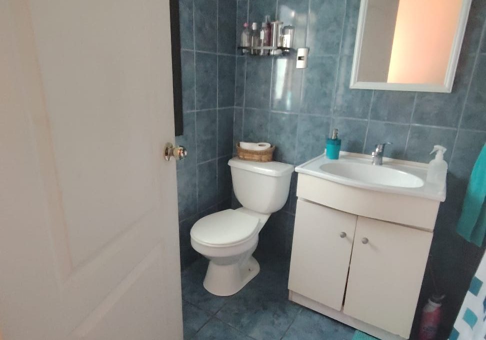 7736838e-2450-446e-b69f-ed4b53cda86d