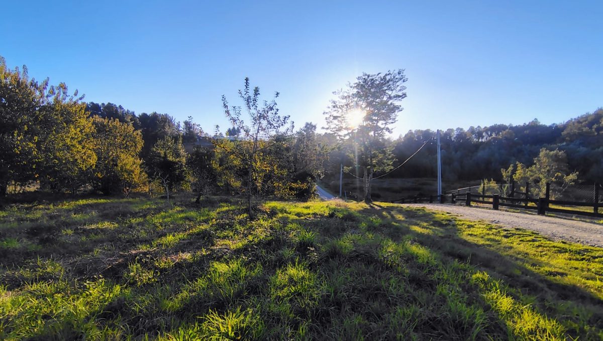 7c70c96e-6cd5-4059-b91a-73d8d7383ca9