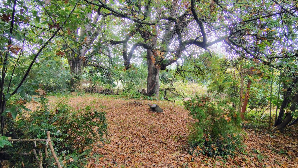 8d35c496-5e3c-4e59-a6a0-430376e583ed