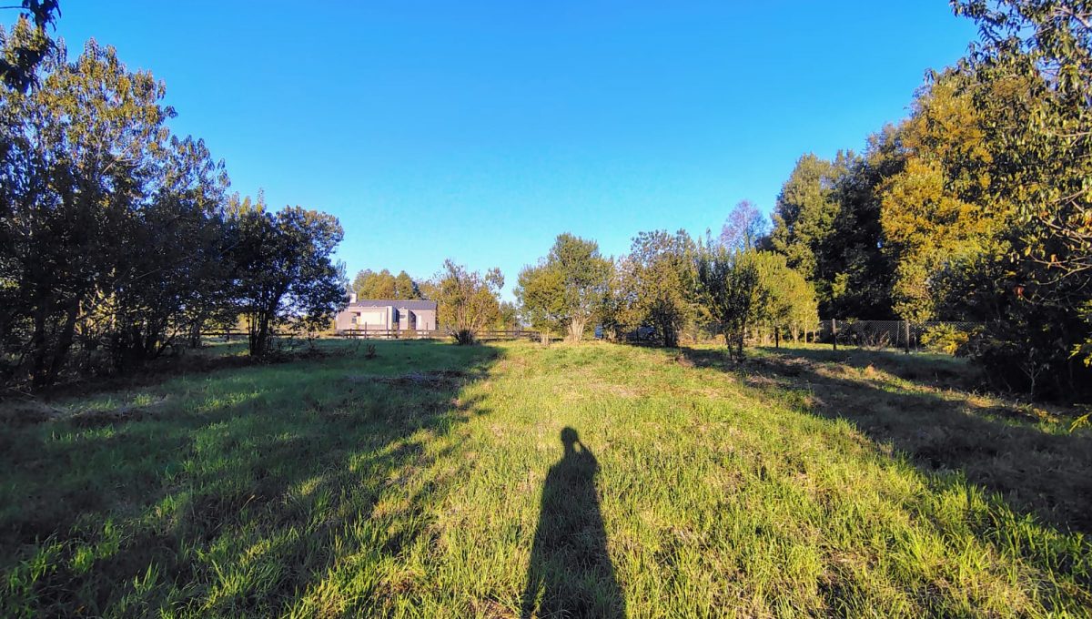 9b689171-3abd-46ef-9ae8-b5024eef2845