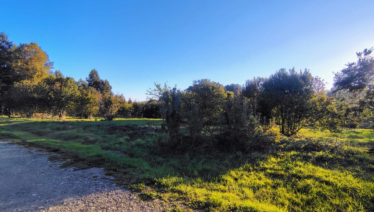 9b873c95-15ee-47bc-93a8-de79e99ad58b