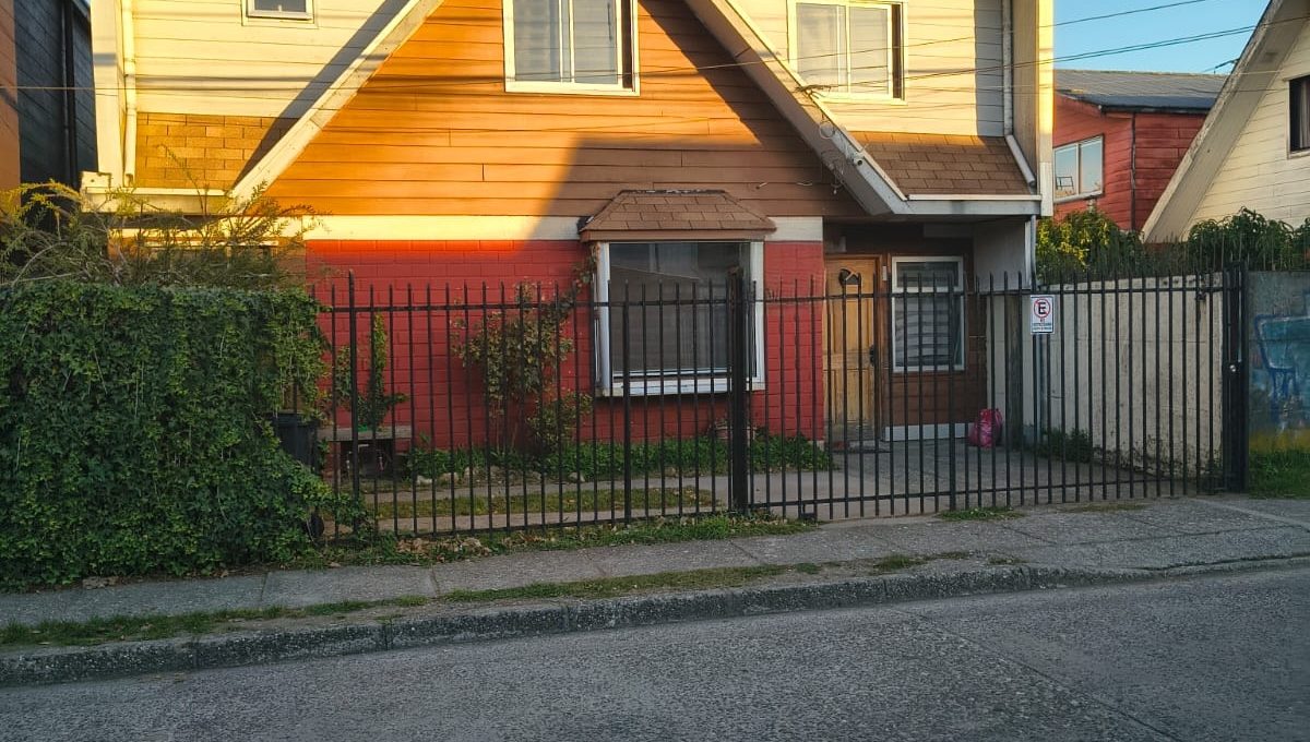 WhatsApp Image 2026-04-09 at 14.04.49