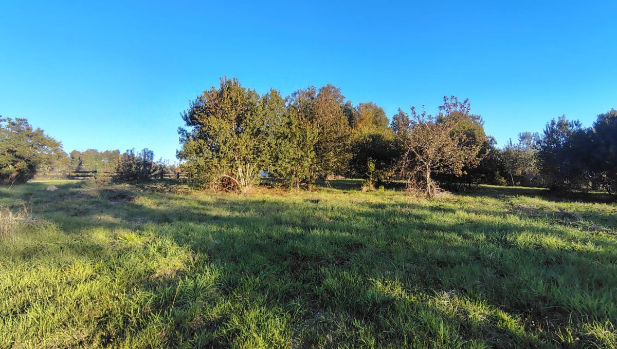 a140110a-d18b-4c20-803b-f15230d3ed41