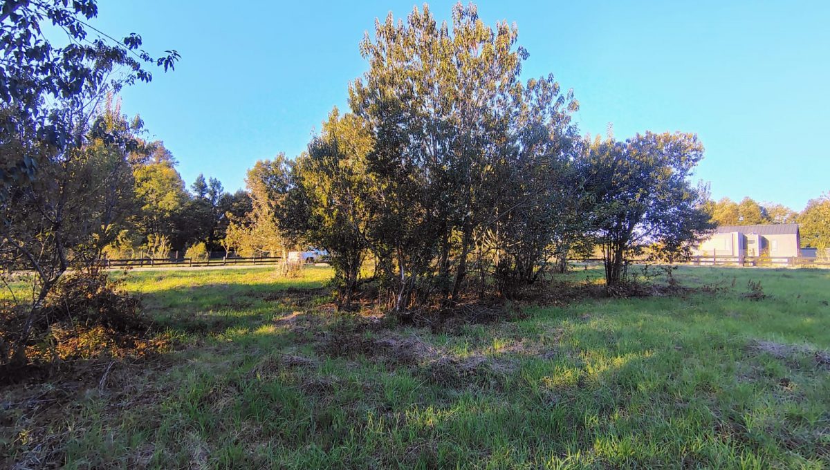 c892c101-0b4b-42bd-ab56-b7cb264e7f9c