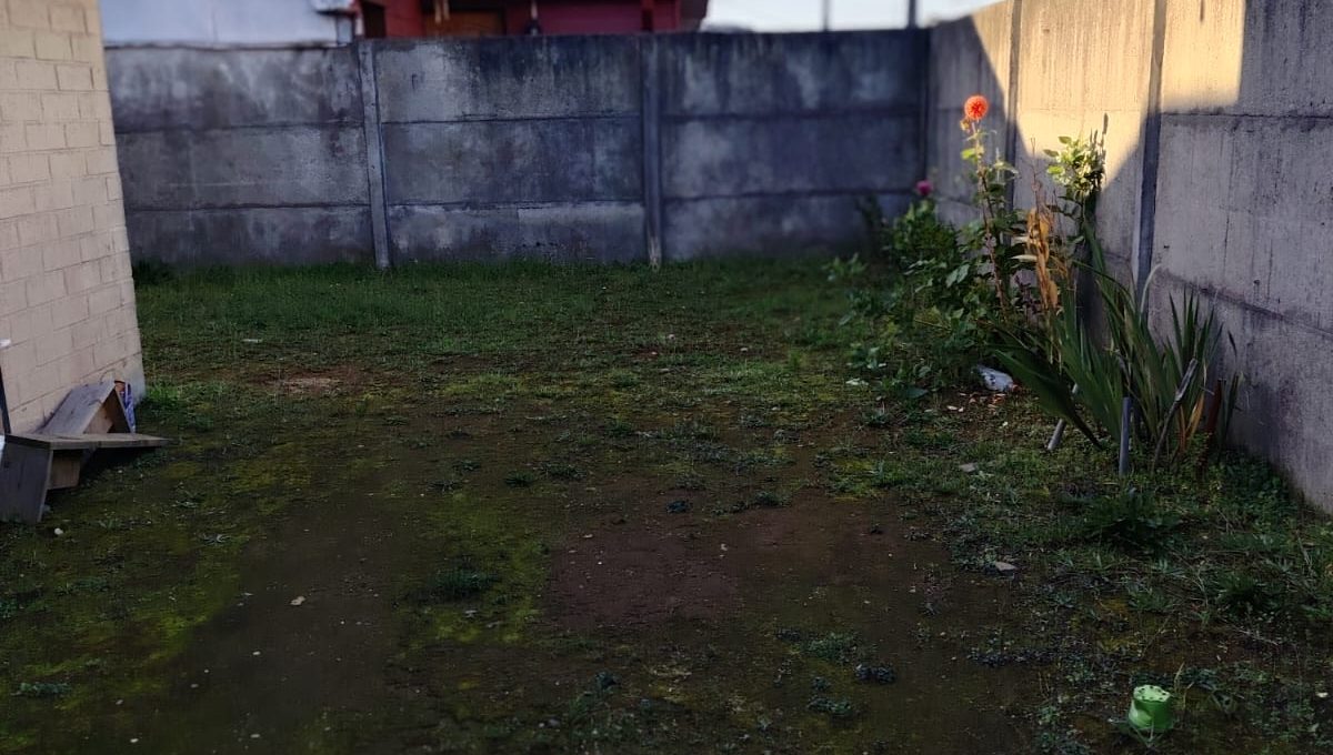 c951cf7f-adfe-4c6a-bf88-bec90d994862