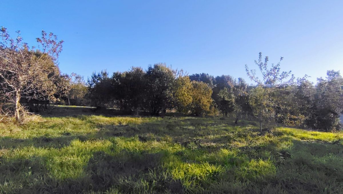 cdce46d1-0c37-4d62-9233-46970afa9230