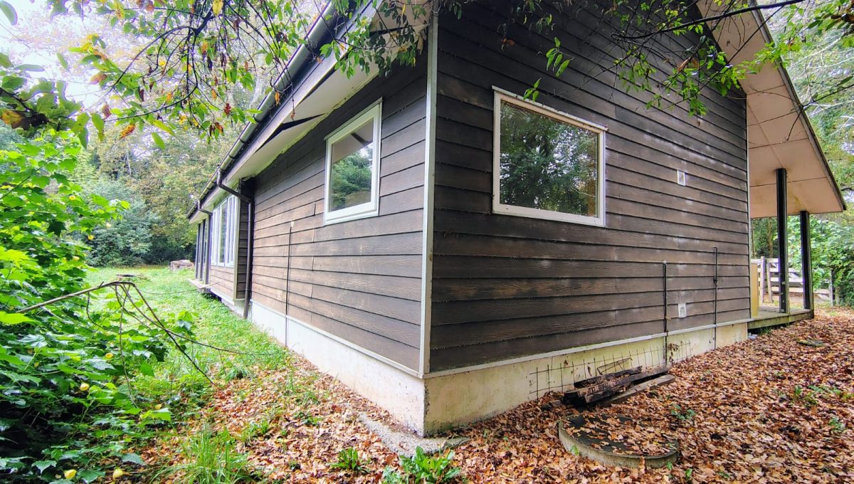 ce5f7b18-4b65-4e3f-9044-63374fafba7e