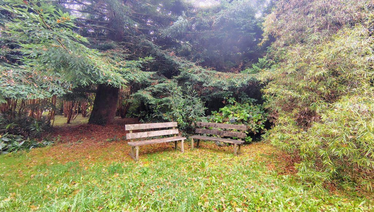 dcbae084-33e2-4fb6-8ece-75c1d6b09722