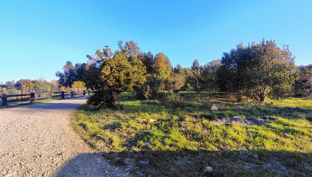 ec706fad-c4c3-491b-bf73-13c633ab6c8e