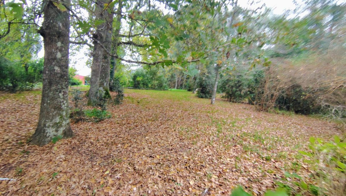 f61c4488-e177-402d-a4e3-8907b4b15961