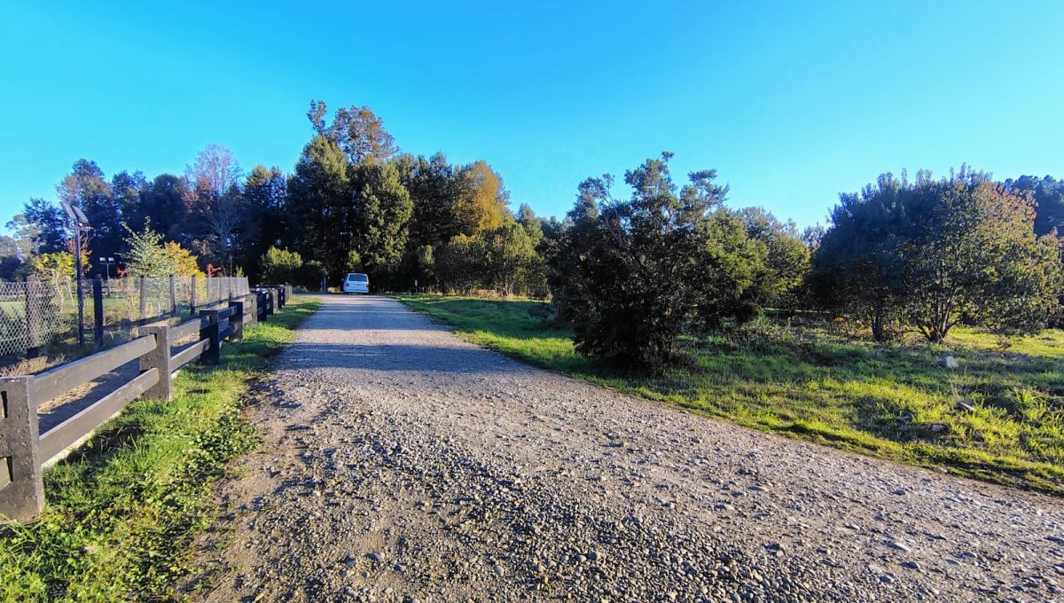 fd10d810-f44c-4306-b9fa-bda590ed1aad