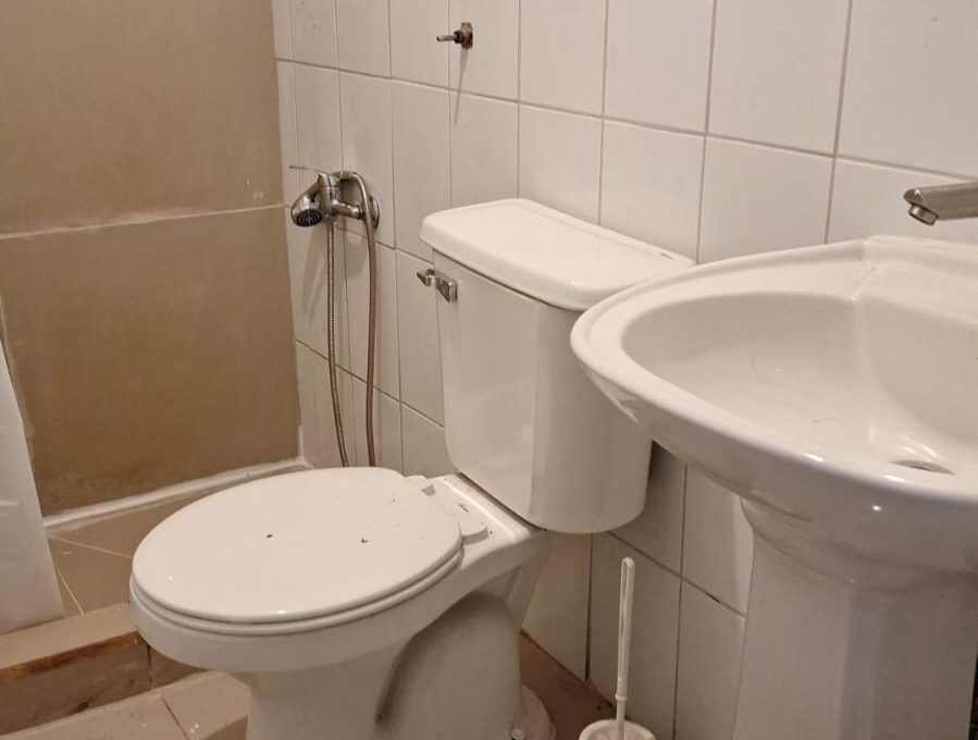 baño casa rene schneider